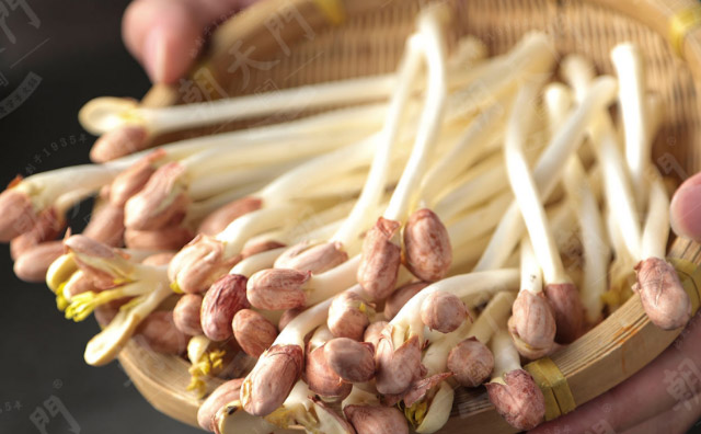 成都特色火鍋加盟店，提高員工工作效率的技巧