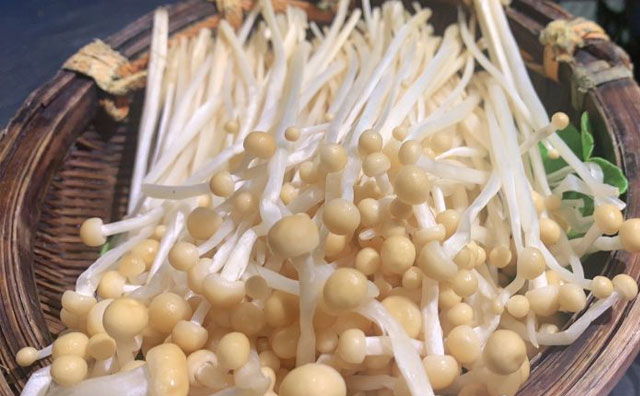 特色火鍋的未來(lái)發(fā)展分析報(bào)告