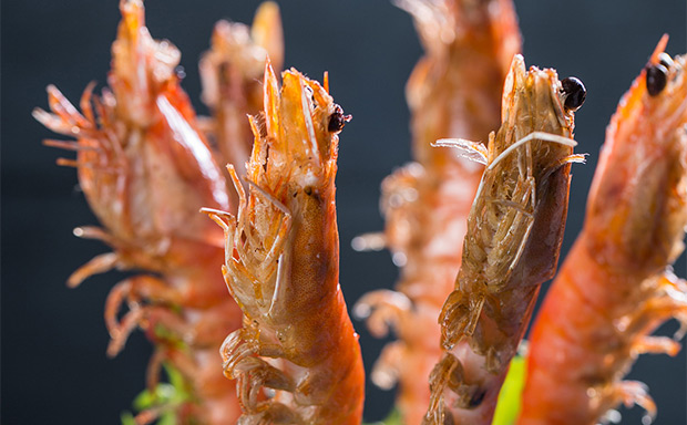 誰說網(wǎng)紅餐廳一無是處，這點就值得學習