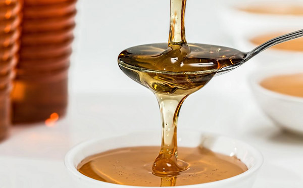 盟享加中國特許加盟展南京站11月開幕，聚焦“未來經濟 品質生活”