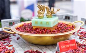 哪種毛肚好吃？火鍋店該怎么選？