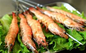 全國(guó)哪里開燒烤店比較好，選位置建議你看看這些