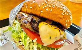 為什么創(chuàng)業(yè)者都愿意選擇炸雞漢堡合作？