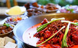 火鍋店實用的活動，好用的不得了