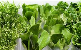 2022年麻辣燙門店如何減少差評？